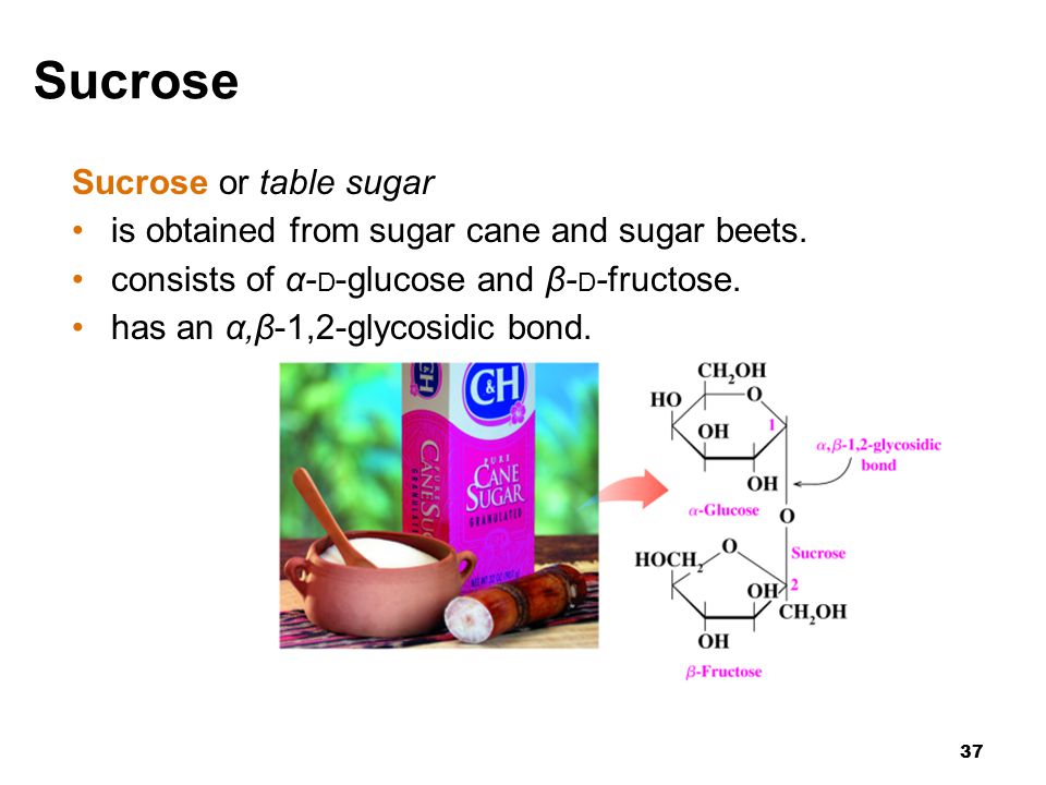 37 Sucrose Sucrose or table sugar is obtained from sugar cane and sugar beets.