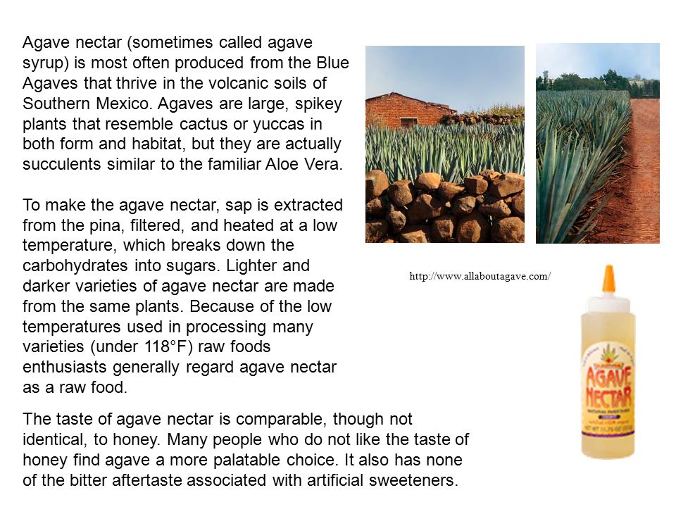 Agave nectar (sometimes called agave syrup) is most often produced from the Blue Agaves that thrive in the volcanic soils of Southern Mexico.