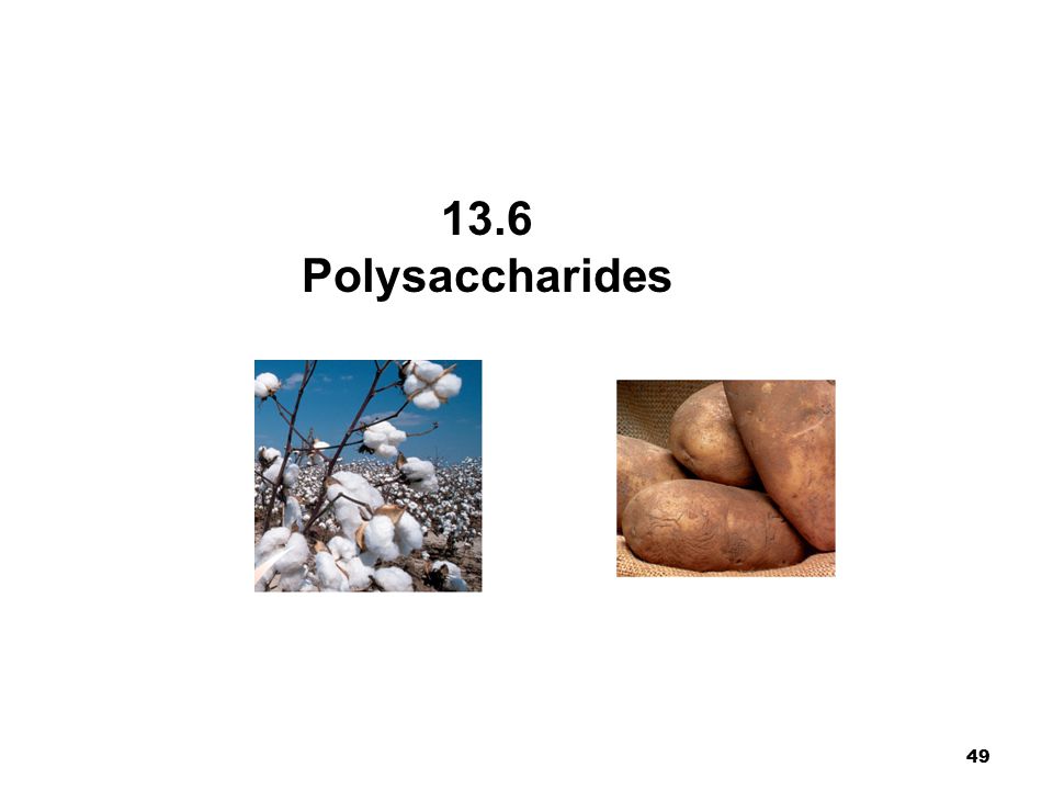 49 Chapter 14 Carbohydrates 13.6 Polysaccharides