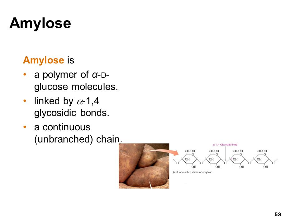 53 Amylose Amylose is a polymer of α- D - glucose molecules.