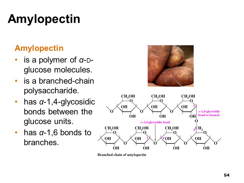 54 Amylopectin is a polymer of α- D - glucose molecules.