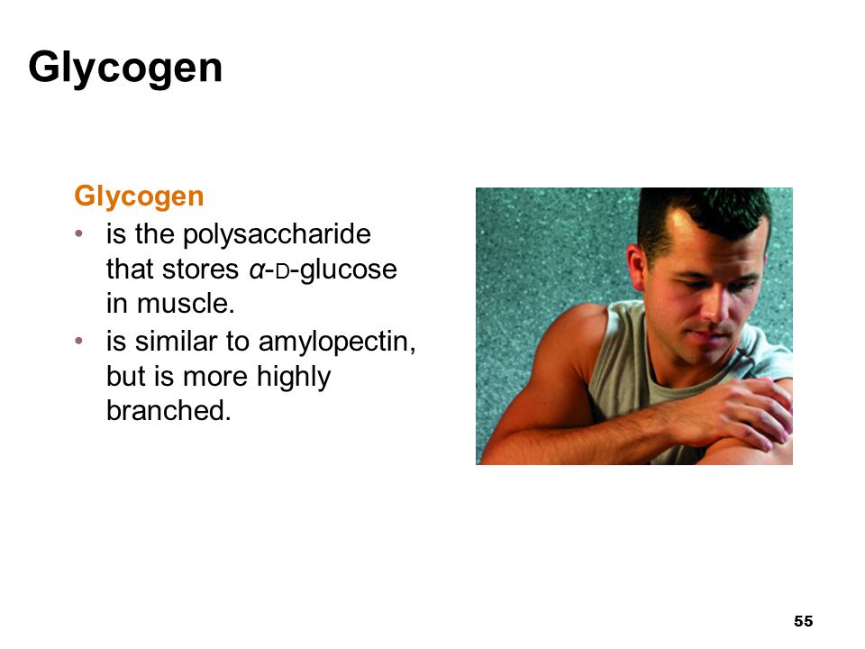 55 Glycogen is the polysaccharide that stores α- D -glucose in muscle.
