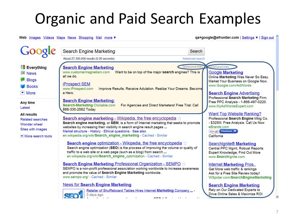 Organic and Paid Search Examples 7