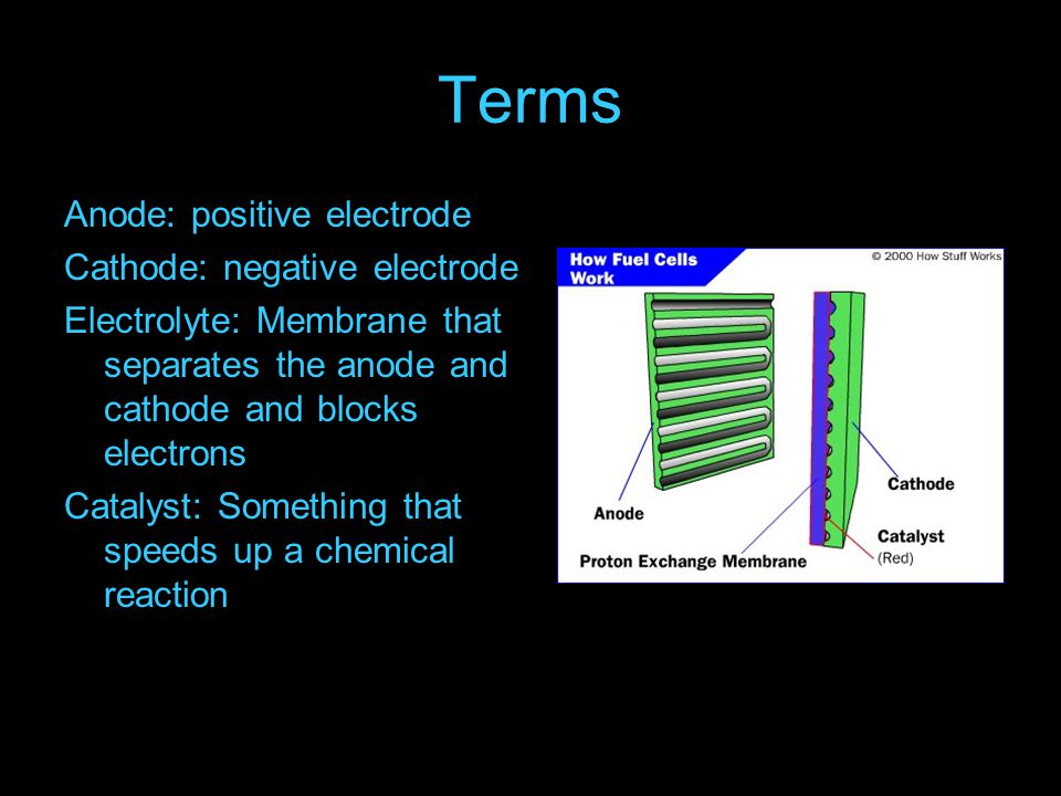 Terms Anode: positive electrode Cathode: negative electrode Electrolyte: Membrane that separates the anode and cathode and blocks electrons Catalyst: Something that speeds up a chemical reaction