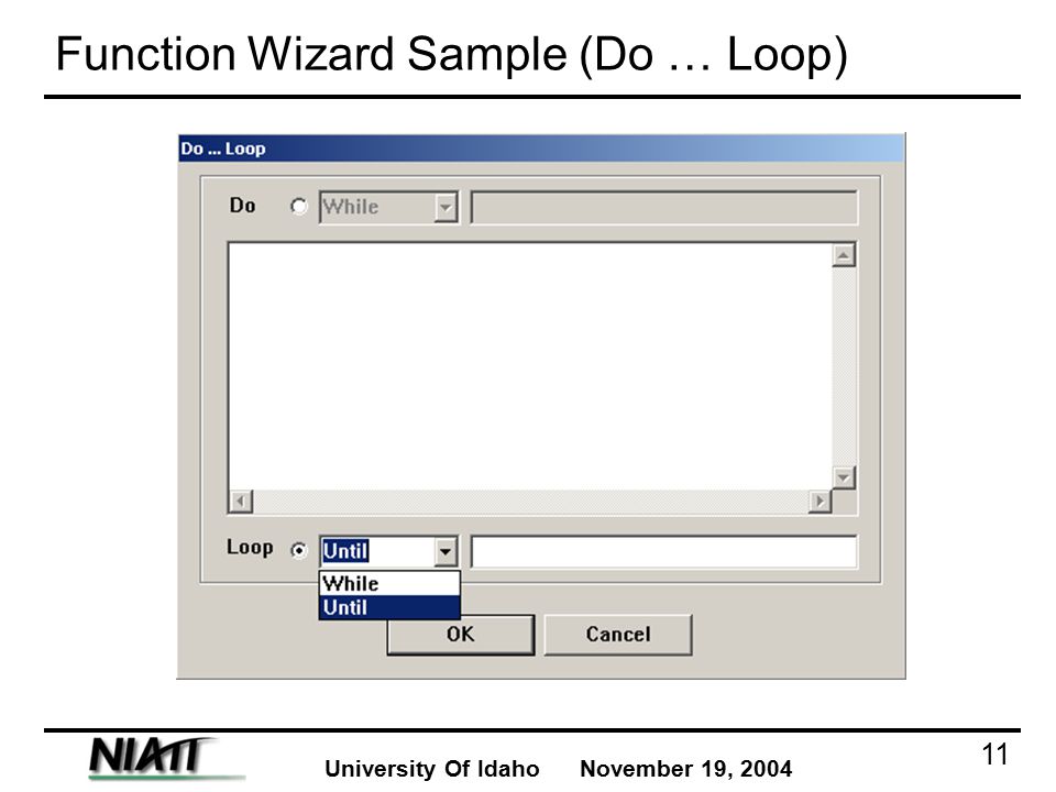 University Of Idaho November 19, Function Wizard Sample (Do … Loop)