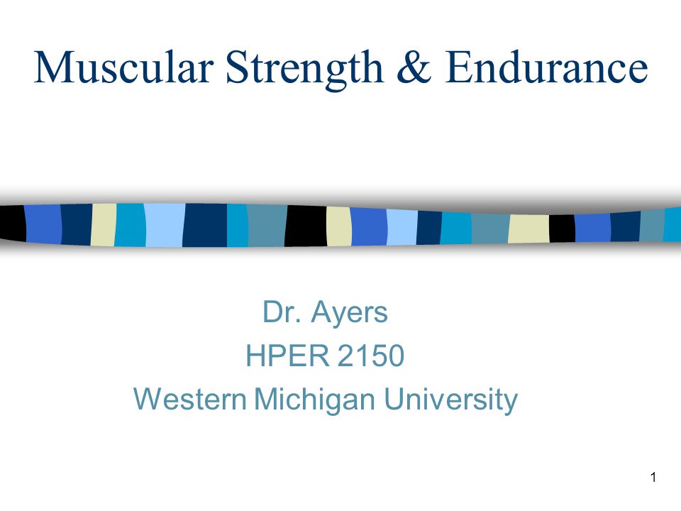 1 Muscular Strength & Endurance Dr. Ayers HPER 2150 Western Michigan University