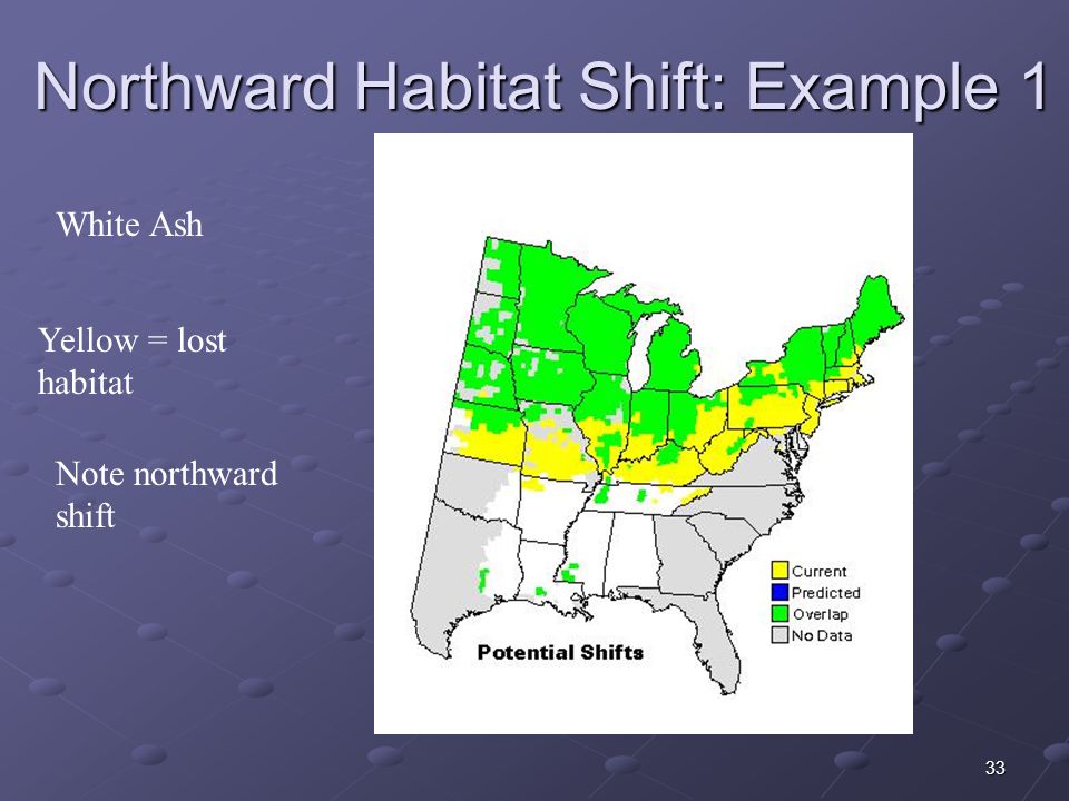 33 Northward Habitat Shift: Example 1 White Ash Yellow = lost habitat Note northward shift