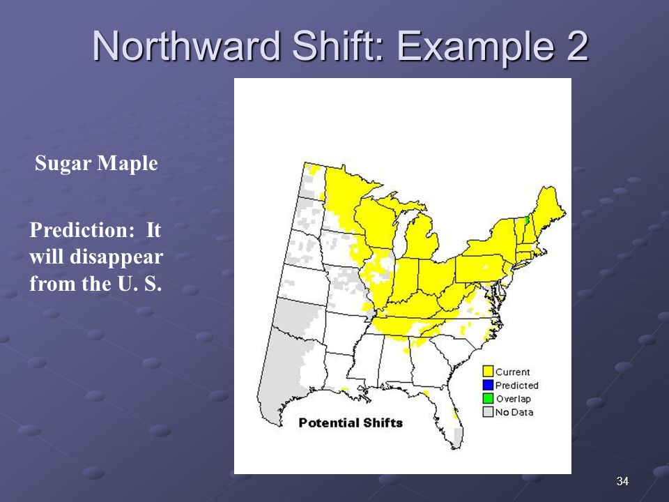 34 Northward Shift: Example 2 Sugar Maple Prediction: It will disappear from the U. S.