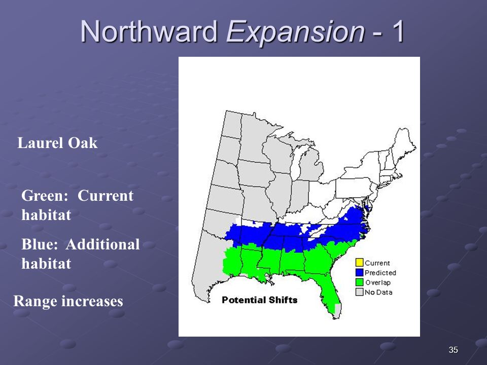 35 Northward Expansion - 1 Laurel Oak Green: Current habitat Blue: Additional habitat Range increases