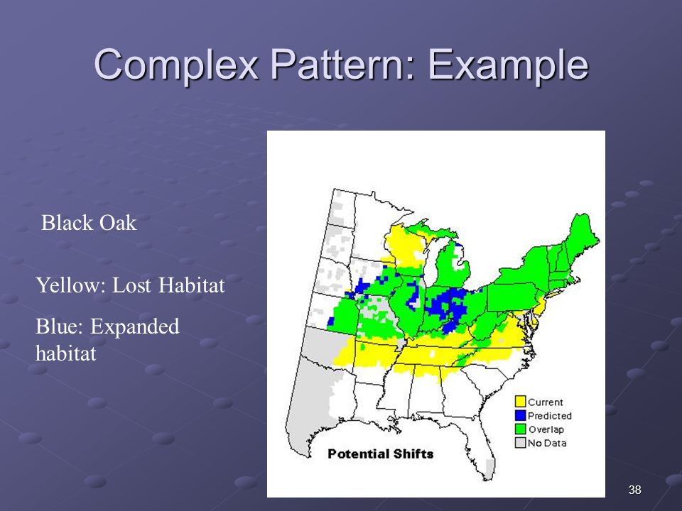 38 Complex Pattern: Example Black Oak Yellow: Lost Habitat Blue: Expanded habitat