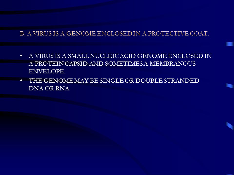 B. A VIRUS IS A GENOME ENCLOSED IN A PROTECTIVE COAT.
