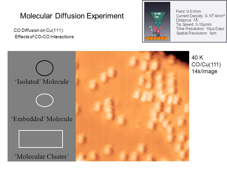 Molecular Diffusion Experiment CO Diffusion on Cu(111): Effects of CO-CO Interactions ‘Isolated’ Molecule ‘Embedded’ Molecule ‘Molecular Cluster’ 40 K CO/Cu(111) 14s/image