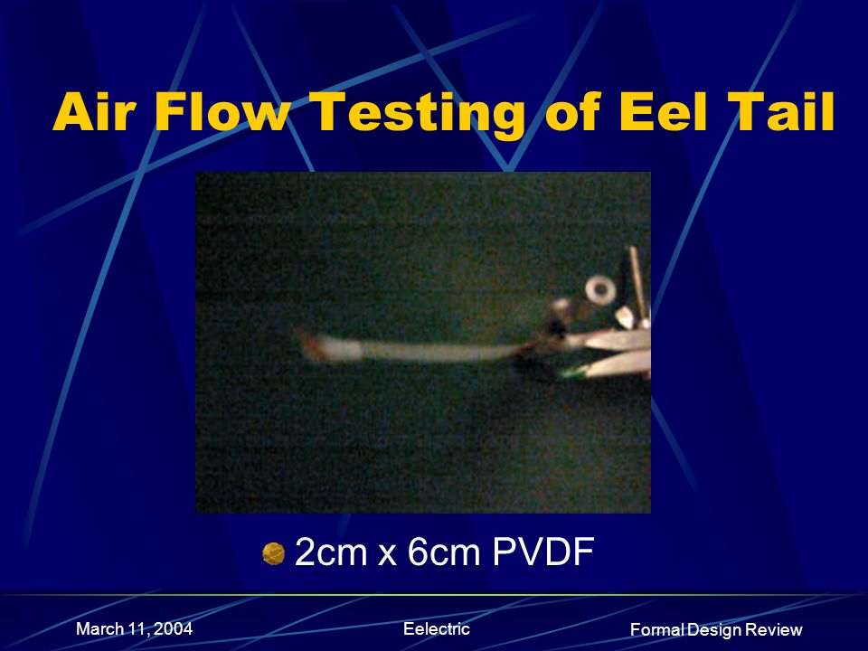 Formal Design Review March 11, 2004Eelectric Air Flow Testing of Eel Tail 2cm x 6cm PVDF
