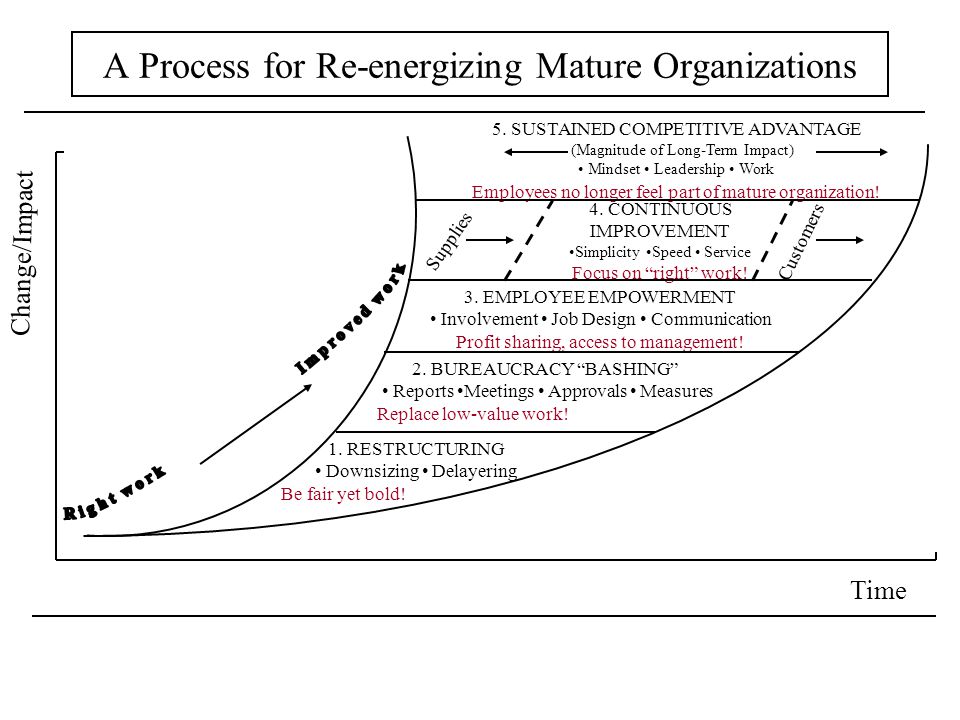 re energizing the mature organization Re energizing the mature organization