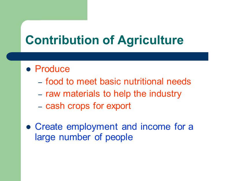 Contribution of Agriculture Produce – food to meet basic nutritional needs – raw materials to help the industry – cash crops for export Create employment and income for a large number of people