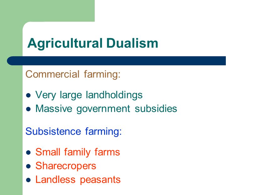 Agricultural Dualism Commercial farming: Very large landholdings Massive government subsidies Subsistence farming: Small family farms Sharecropers Landless peasants