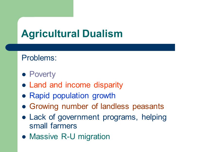 Agricultural Dualism Problems: Poverty Land and income disparity Rapid population growth Growing number of landless peasants Lack of government programs, helping small farmers Massive R-U migration