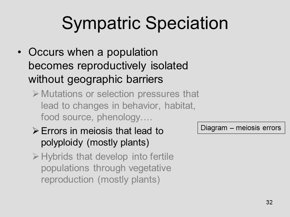 32 Diagram – meiosis errors Sympatric Speciation Occurs when a population becomes reproductively isolated without geographic barriers  Mutations or selection pressures that lead to changes in behavior, habitat, food source, phenology….