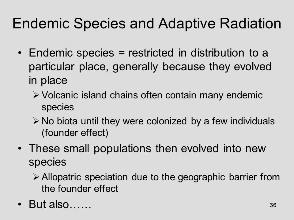 36 Endemic Species and Adaptive Radiation Endemic species = restricted in distribution to a particular place, generally because they evolved in place  Volcanic island chains often contain many endemic species  No biota until they were colonized by a few individuals (founder effect) These small populations then evolved into new species  Allopatric speciation due to the geographic barrier from the founder effect But also……