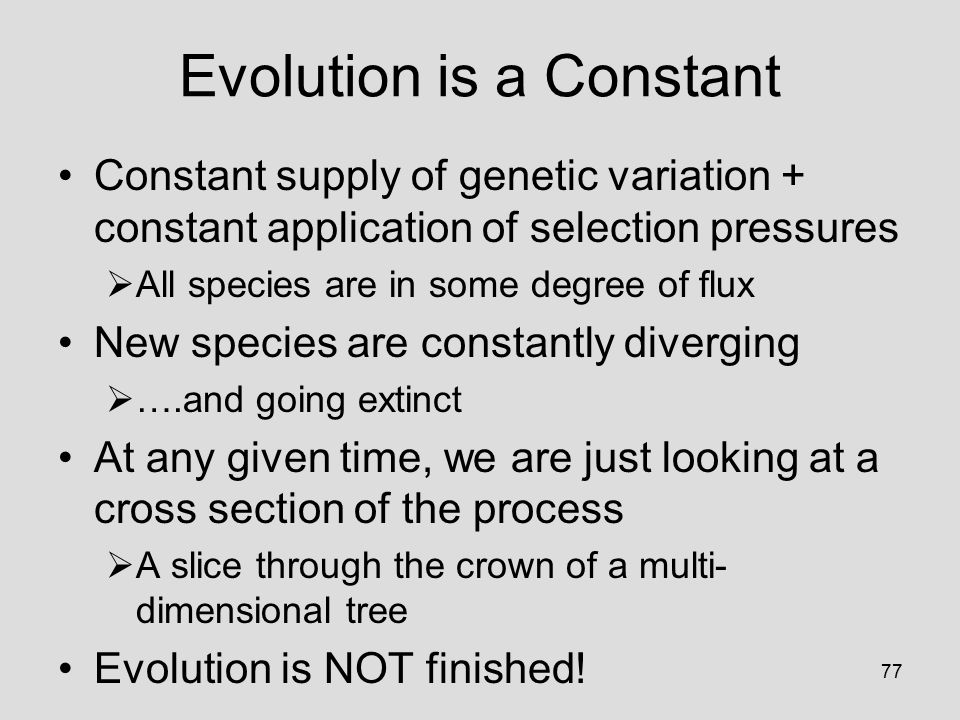 77 Evolution is a Constant Constant supply of genetic variation + constant application of selection pressures  All species are in some degree of flux New species are constantly diverging  ….and going extinct At any given time, we are just looking at a cross section of the process  A slice through the crown of a multi- dimensional tree Evolution is NOT finished!