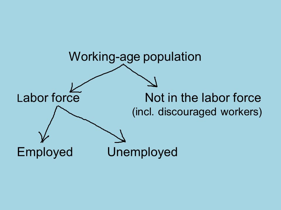 Working-age population L abor force Not in the labor force (incl.