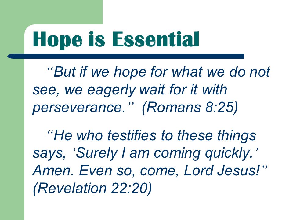 Hope is Essential But if we hope for what we do not see, we eagerly wait for it with perseverance.