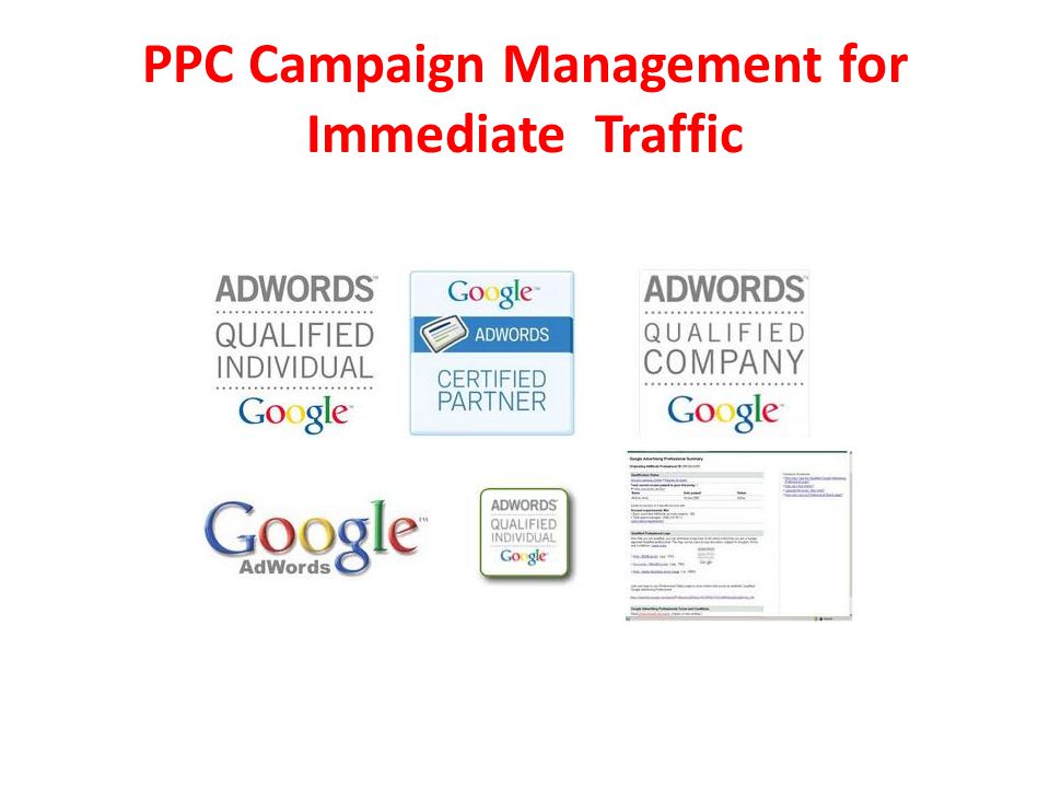 PPC Campaign Management for Immediate Traffic