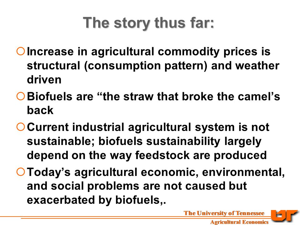 The story thus far:  Increase in agricultural commodity prices is structural (consumption pattern) and weather driven  Biofuels are the straw that broke the camel’s back  Current industrial agricultural system is not sustainable; biofuels sustainability largely depend on the way feedstock are produced  Today’s agricultural economic, environmental, and social problems are not caused but exacerbated by biofuels,.