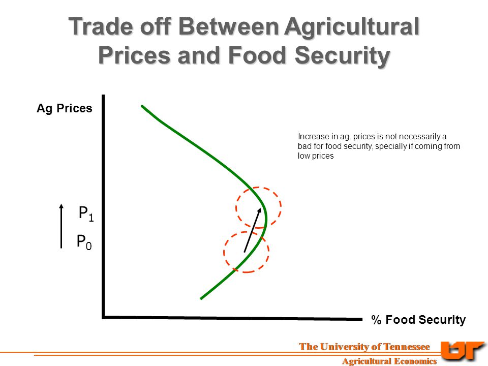 Trade off Between Agricultural Prices and Food Security Ag Prices % Food Security P0P0 P1P1 Increase in ag.