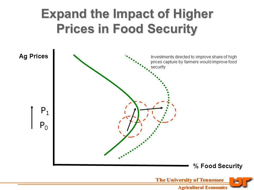 Expand the Impact of Higher Prices in Food Security Ag Prices % Food Security P0P0 P1P1 Investments directed to improve share of high prices capture by farmers would improve food security