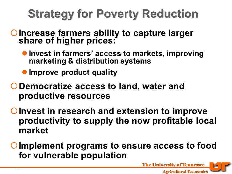 Strategy for Poverty Reduction  Increase farmers ability to capture larger share of higher prices: Invest in farmers’ access to markets, improving marketing & distribution systems Improve product quality  Democratize access to land, water and productive resources  Invest in research and extension to improve productivity to supply the now profitable local market  Implement programs to ensure access to food for vulnerable population
