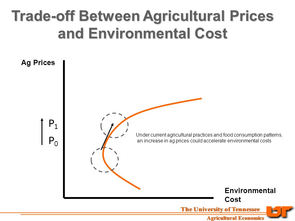 Ag Prices Environmental Cost Trade-off Between Agricultural Prices and Environmental Cost P0P0 P1P1 Under current agricultural practices and food consumption patterns, an increase in ag prices could accelerate environmental costs