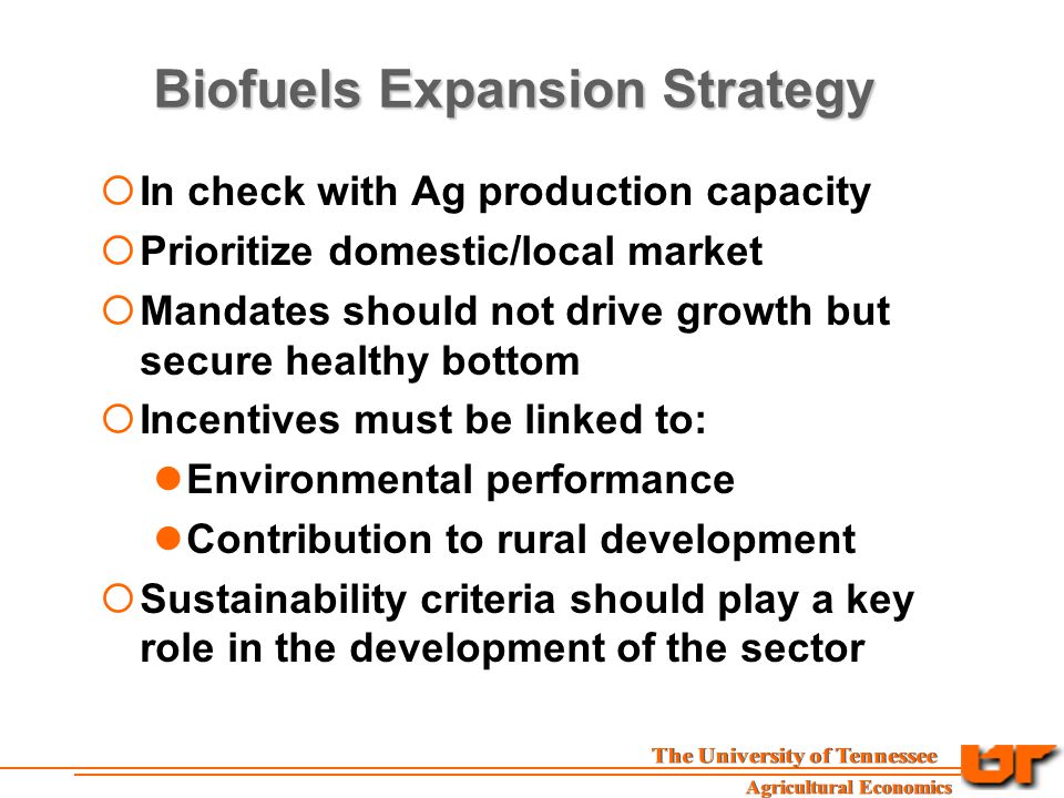 Biofuels Expansion Strategy  In check with Ag production capacity  Prioritize domestic/local market  Mandates should not drive growth but secure healthy bottom  Incentives must be linked to: Environmental performance Contribution to rural development  Sustainability criteria should play a key role in the development of the sector