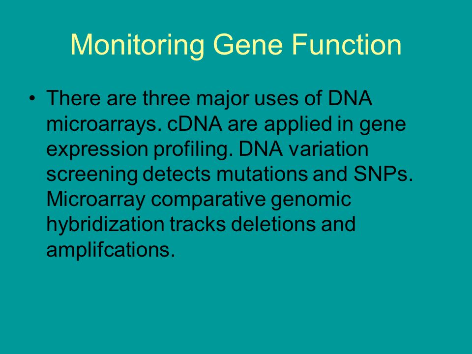 Monitoring Gene Function There are three major uses of DNA microarrays.