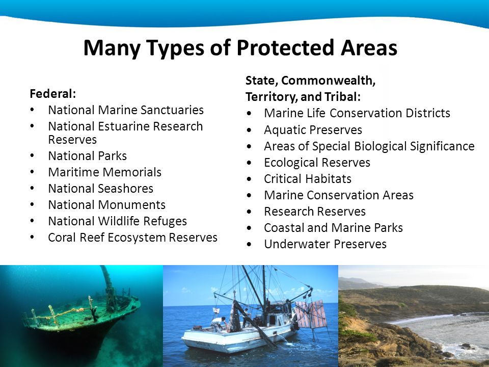 Federal: National Marine Sanctuaries National Estuarine Research Reserves National Parks Maritime Memorials National Seashores National Monuments National Wildlife Refuges Coral Reef Ecosystem Reserves State, Commonwealth, Territory, and Tribal: Marine Life Conservation Districts Aquatic Preserves Areas of Special Biological Significance Ecological Reserves Critical Habitats Marine Conservation Areas Research Reserves Coastal and Marine Parks Underwater Preserves Many Types of Protected Areas
