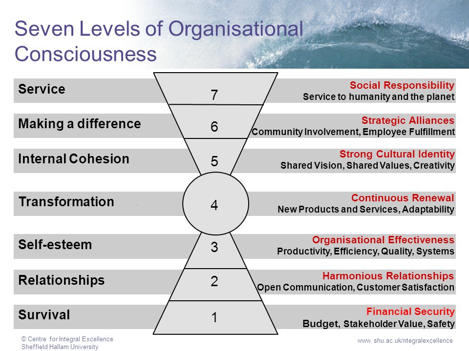 Internal Cohesion Making a difference Service Seven Levels of Organisationa...