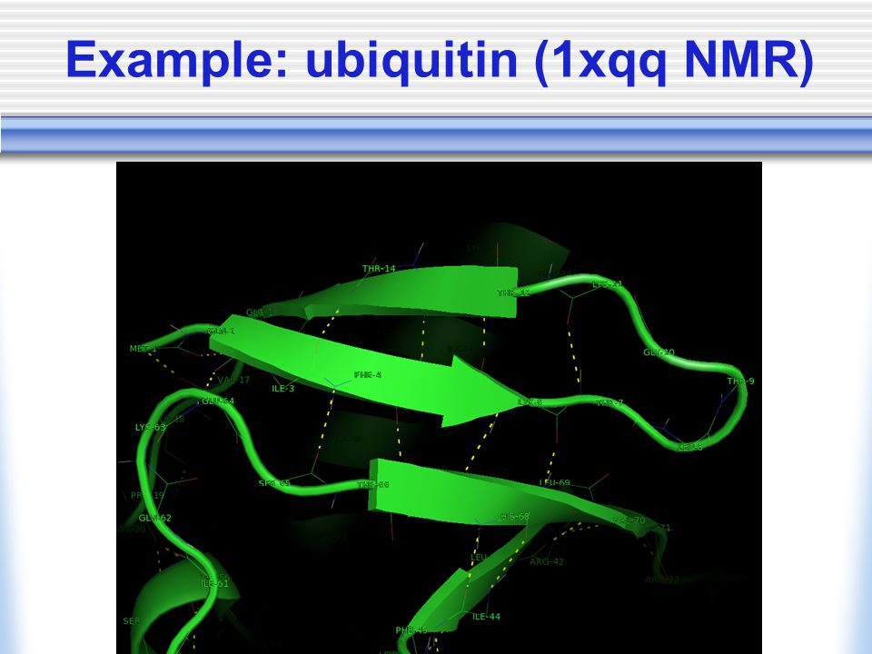 Example: ubiquitin (1xqq NMR)