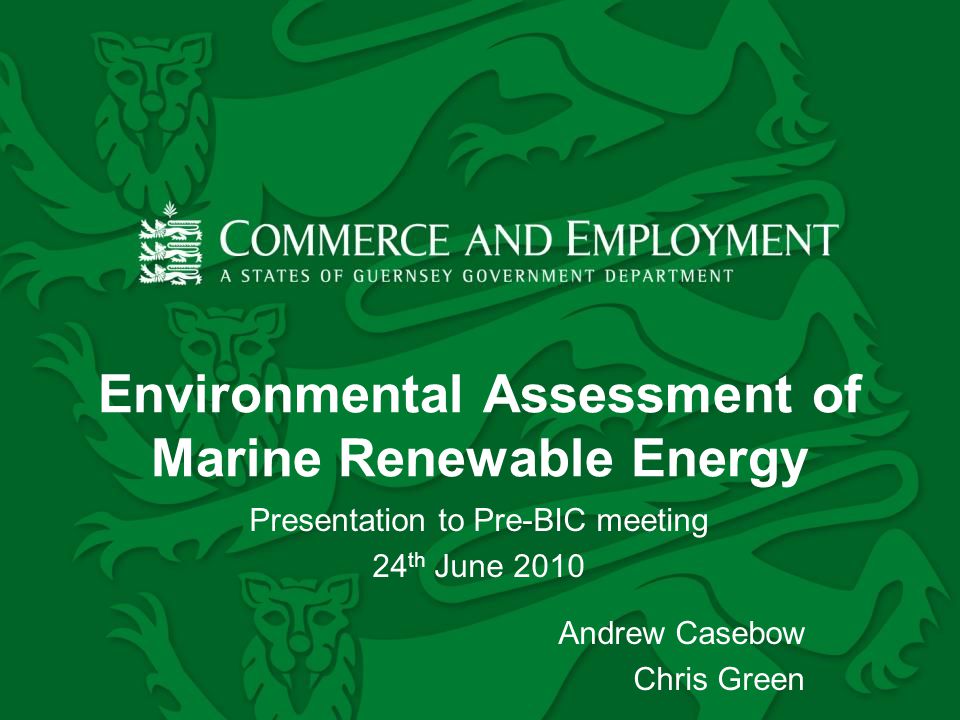 Environmental Assessment of Marine Renewable Energy Presentation to Pre-BIC meeting 24 th June 2010 Andrew Casebow Chris Green