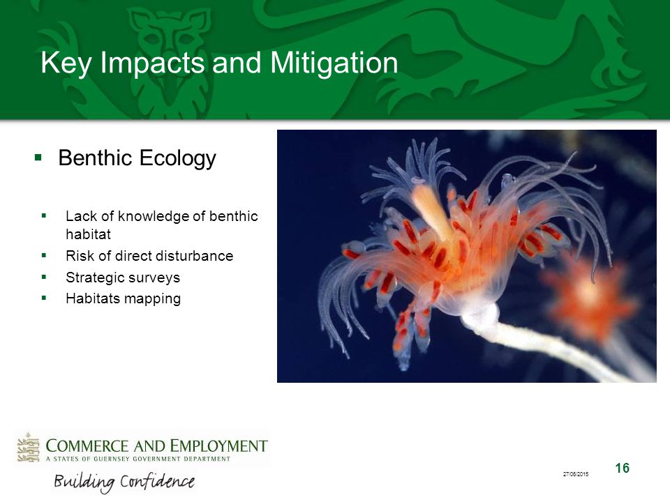 16 27/06/2015 Key Impacts and Mitigation  Benthic Ecology  Lack of knowledge of benthic habitat  Risk of direct disturbance  Strategic surveys  Habitats mapping