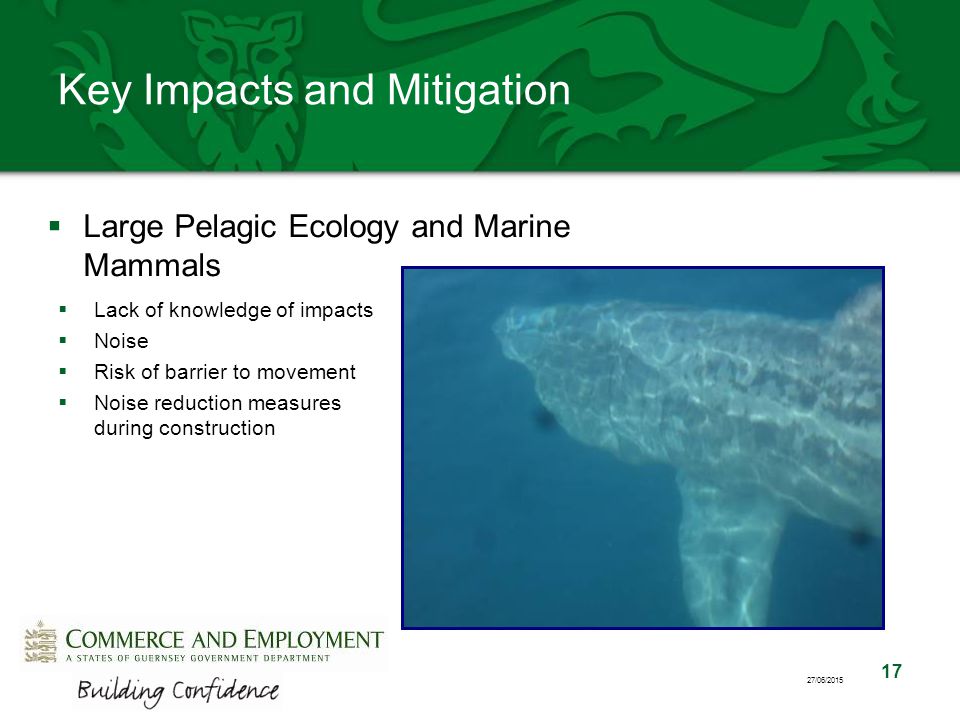17 27/06/2015 Key Impacts and Mitigation  Large Pelagic Ecology and Marine Mammals  Lack of knowledge of impacts  Noise  Risk of barrier to movement  Noise reduction measures during construction