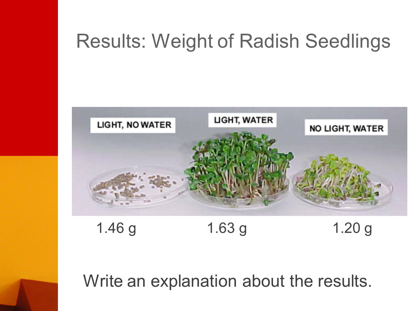 Results: Weight of Radish Seedlings 1.46 g 1.63 g 1.20 g Write an explanation about the results.