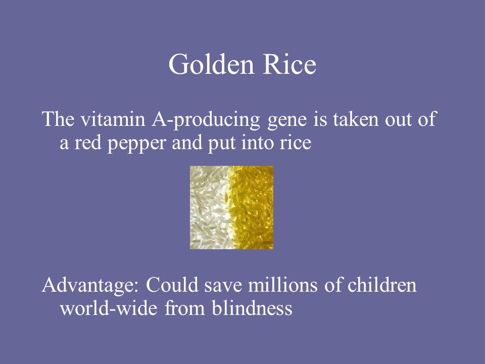 Golden Rice The vitamin A-producing gene is taken out of a red pepper and put into rice Advantage: Could save millions of children world-wide from blindness