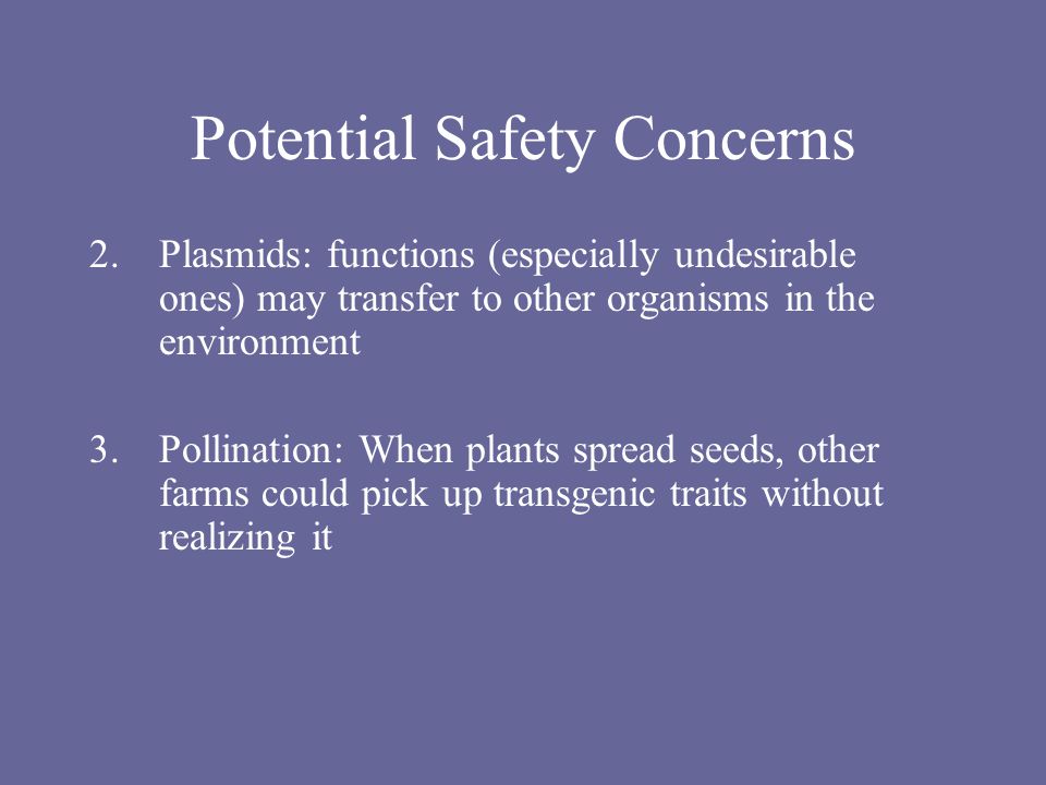 Potential Safety Concerns 2.Plasmids: functions (especially undesirable ones) may transfer to other organisms in the environment 3.Pollination: When plants spread seeds, other farms could pick up transgenic traits without realizing it