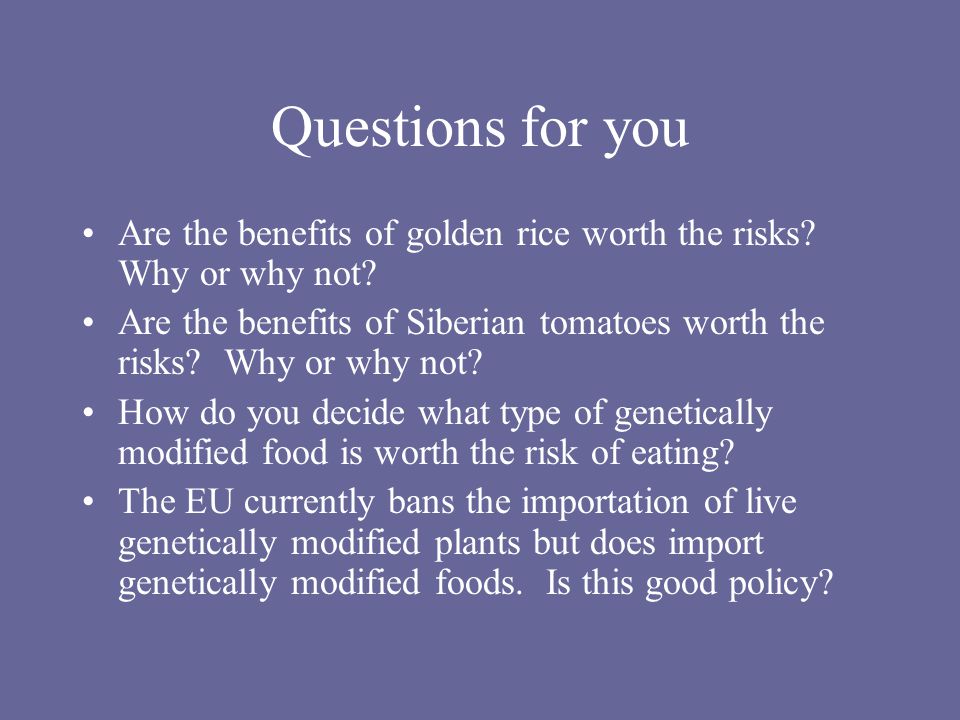 Questions for you Are the benefits of golden rice worth the risks.