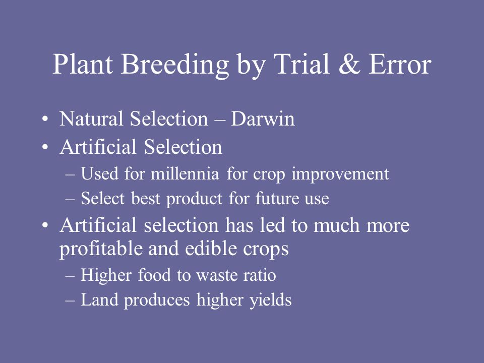 Plant Breeding by Trial & Error Natural Selection – Darwin Artificial Selection –Used for millennia for crop improvement –Select best product for future use Artificial selection has led to much more profitable and edible crops –Higher food to waste ratio –Land produces higher yields