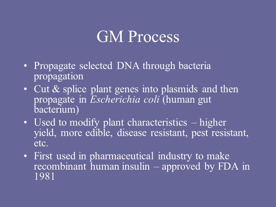 GM Process Propagate selected DNA through bacteria propagation Cut & splice plant genes into plasmids and then propagate in Escherichia coli (human gut bacterium) Used to modify plant characteristics – higher yield, more edible, disease resistant, pest resistant, etc.