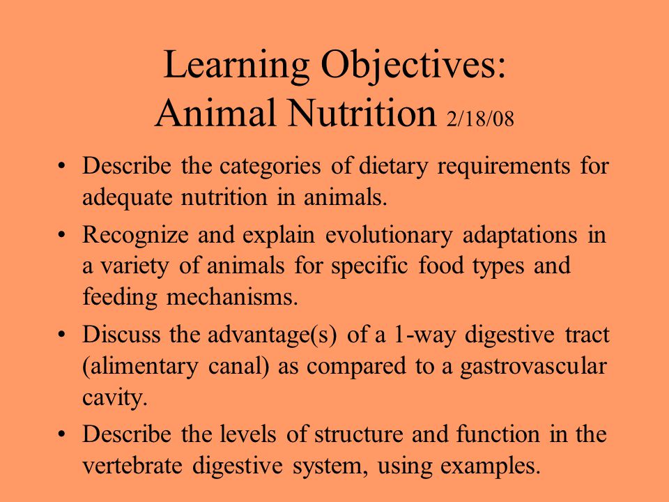 Learning Objectives: Animal Nutrition 2/18/08 Describe the categories of  dietary requirements for adequate nutrition in animals. Recognize and  explain. - ppt download