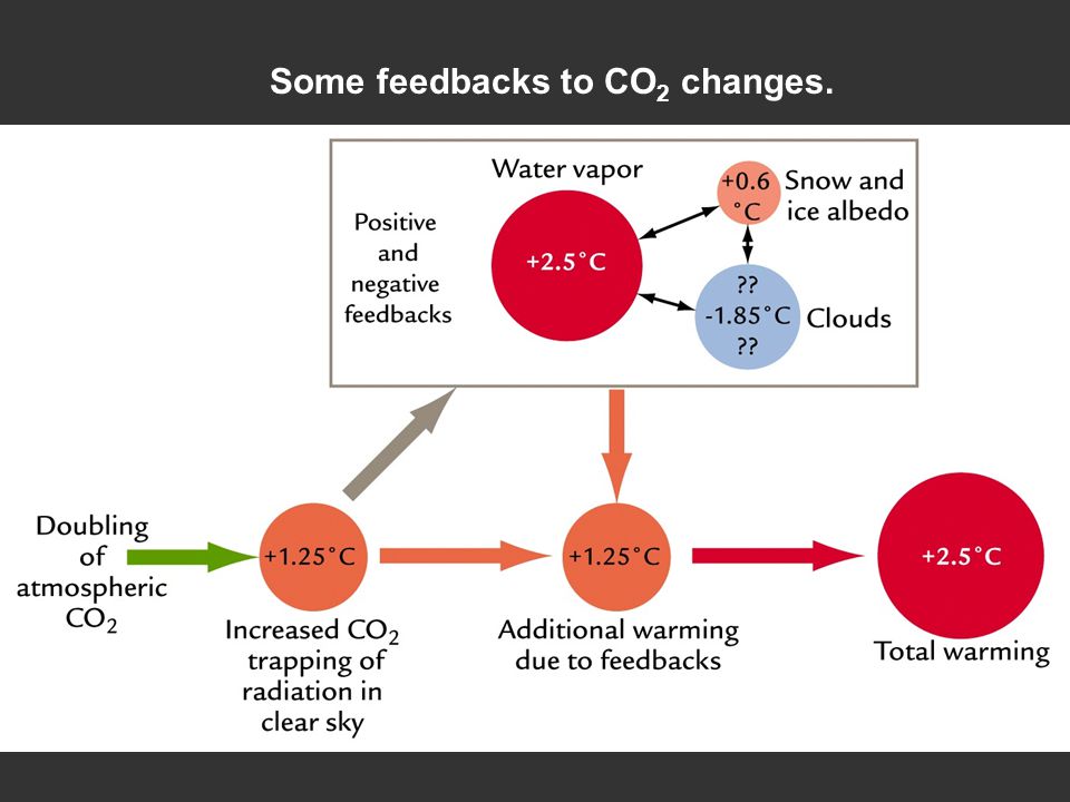 Some feedbacks to CO 2 changes.