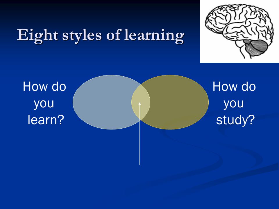 How do you learn How do you study Eight styles of learning