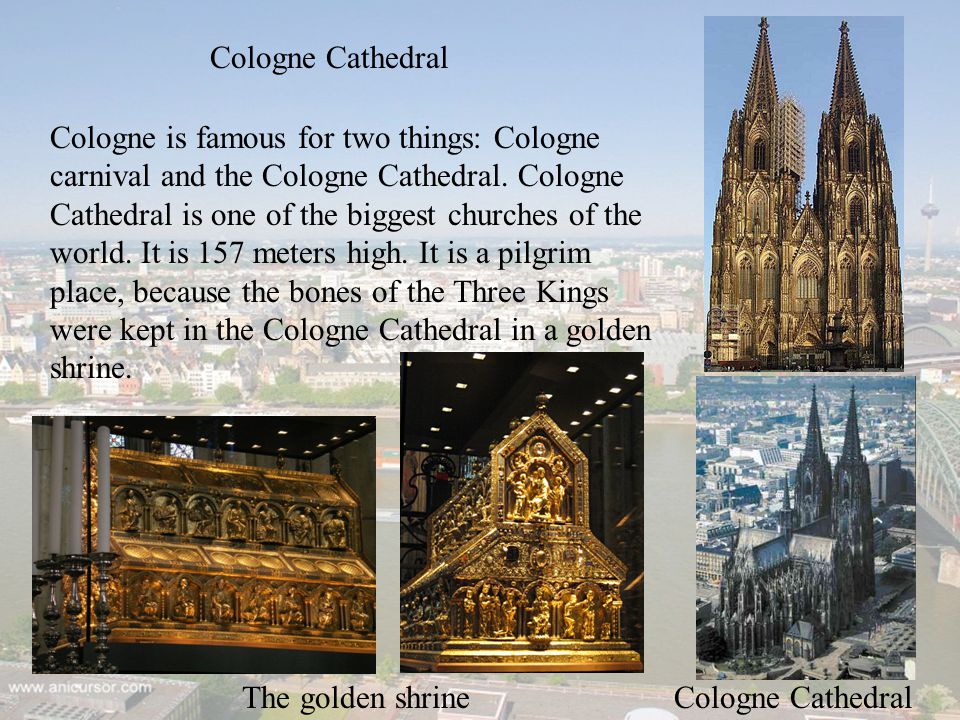 About Cologne This project will show you some interesting facts about  Cologne. - ppt download